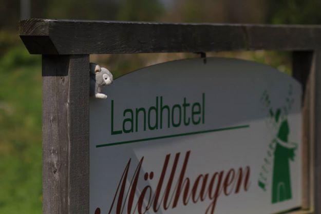 Landhotel Moellhagen Schulp bei Nortorf Dış mekan fotoğraf